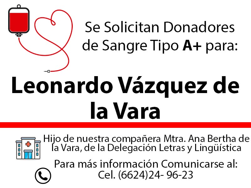 Servicio Social