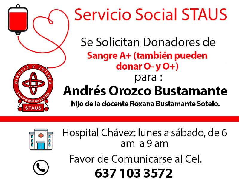 Servicio Social