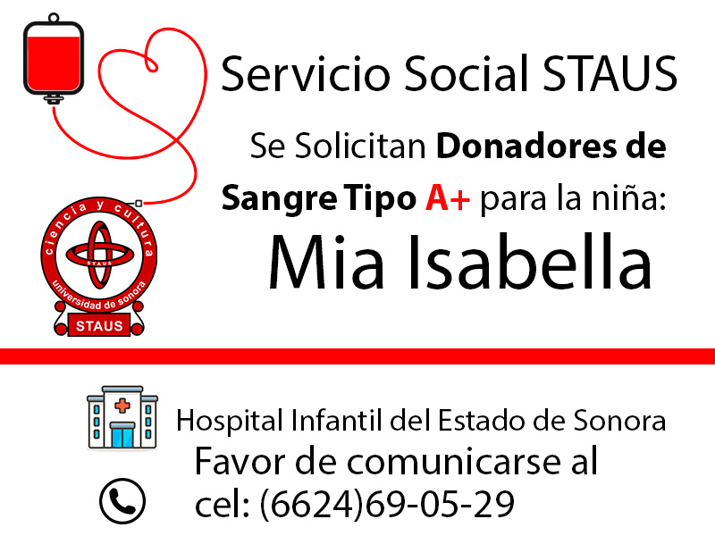 Servicio Social