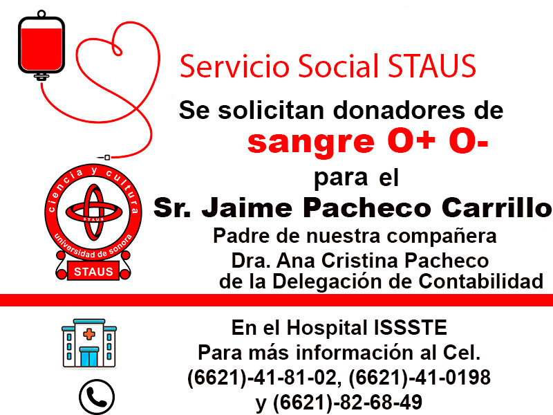 Servicio Social
