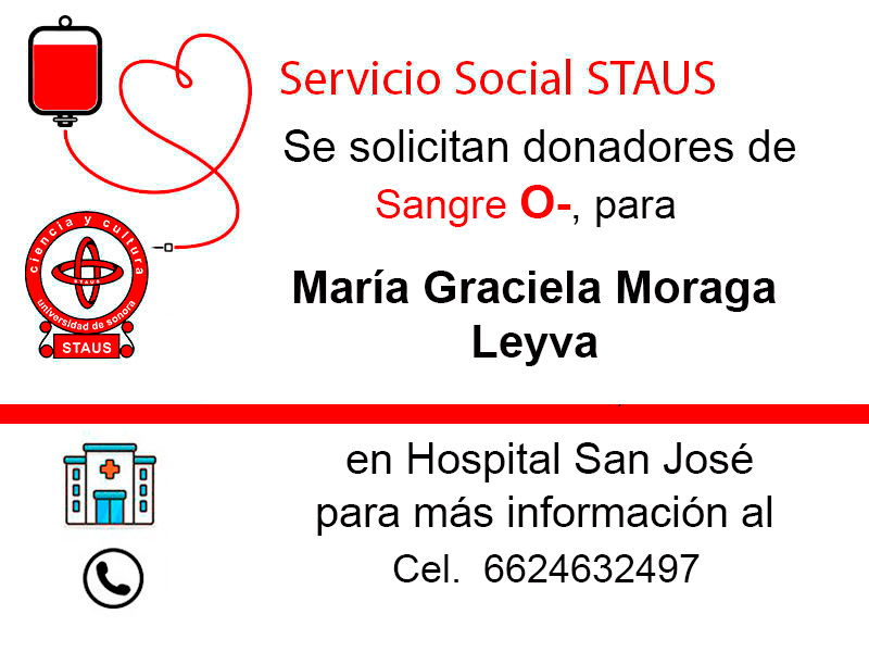 Servicio Social