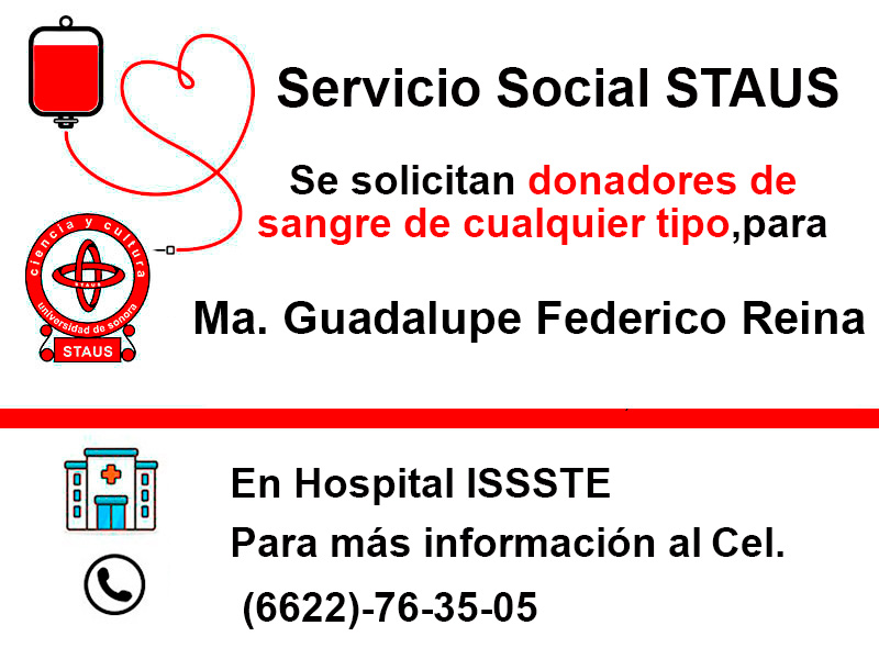Servicio Social