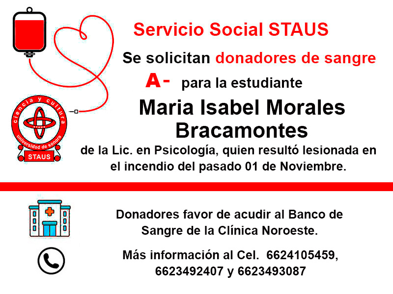 Servicio Social