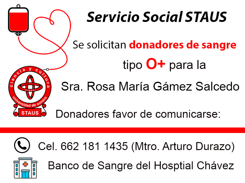 Servicio Social