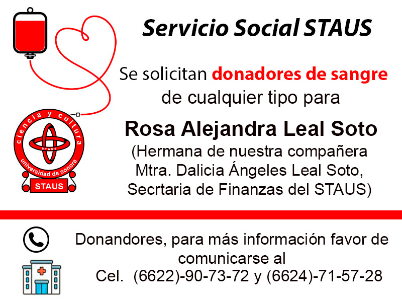 Servicio Social