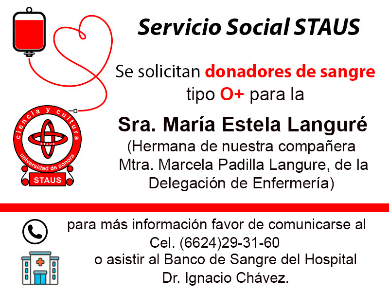 Servicio Social