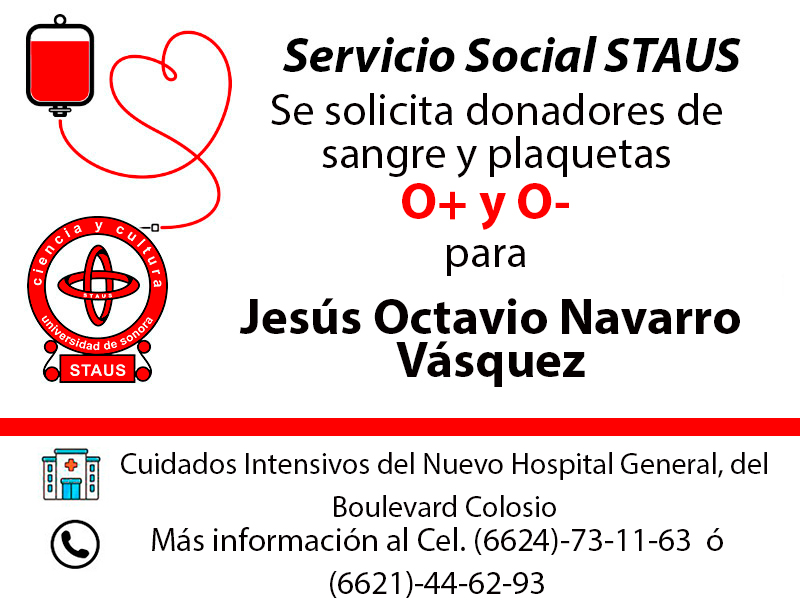 Servicio Social