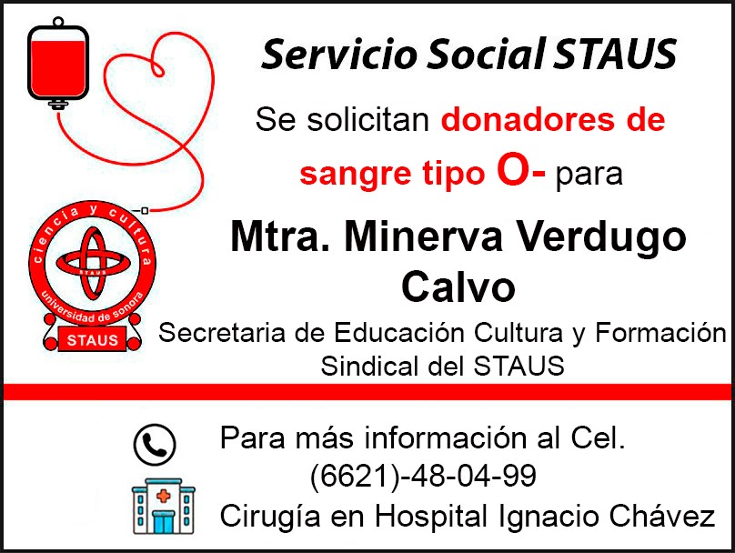 Servicio Social