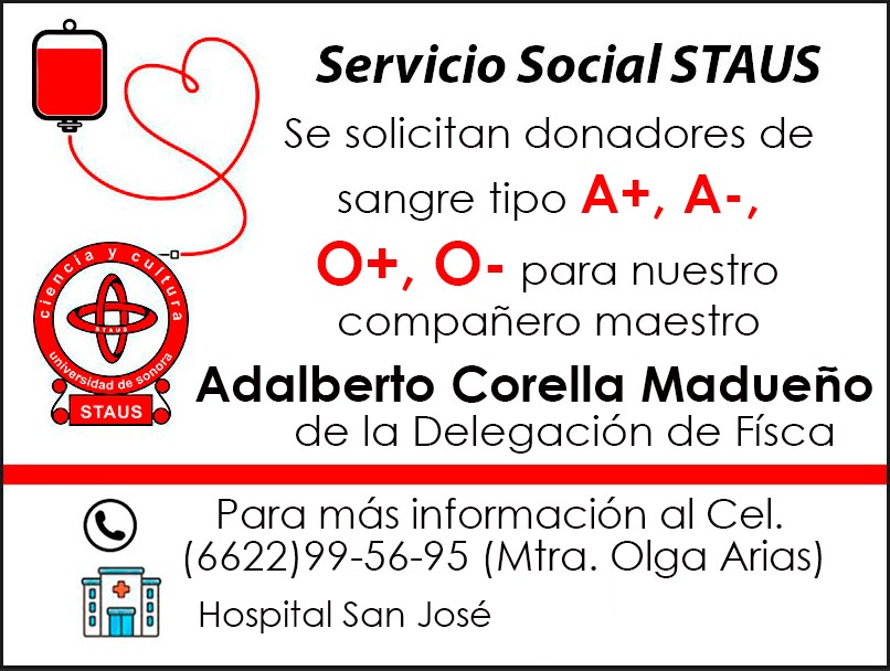 Servicio Social