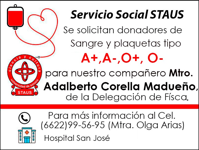 Servicio Social