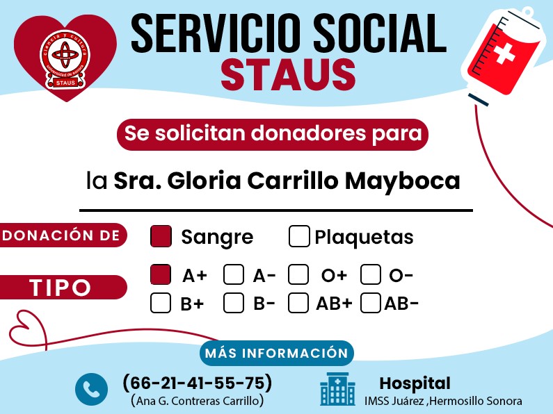 Servicio Social