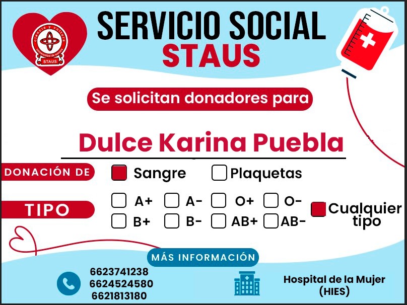 Servicio Social